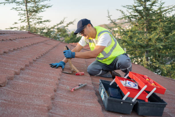 Best Flat Roof Repair Services  in La Follette, TN